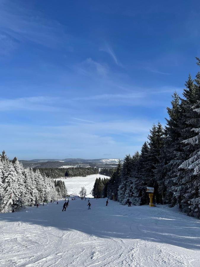 Appartement Familie Willems Winterberg Am Waltenberg Esterno foto